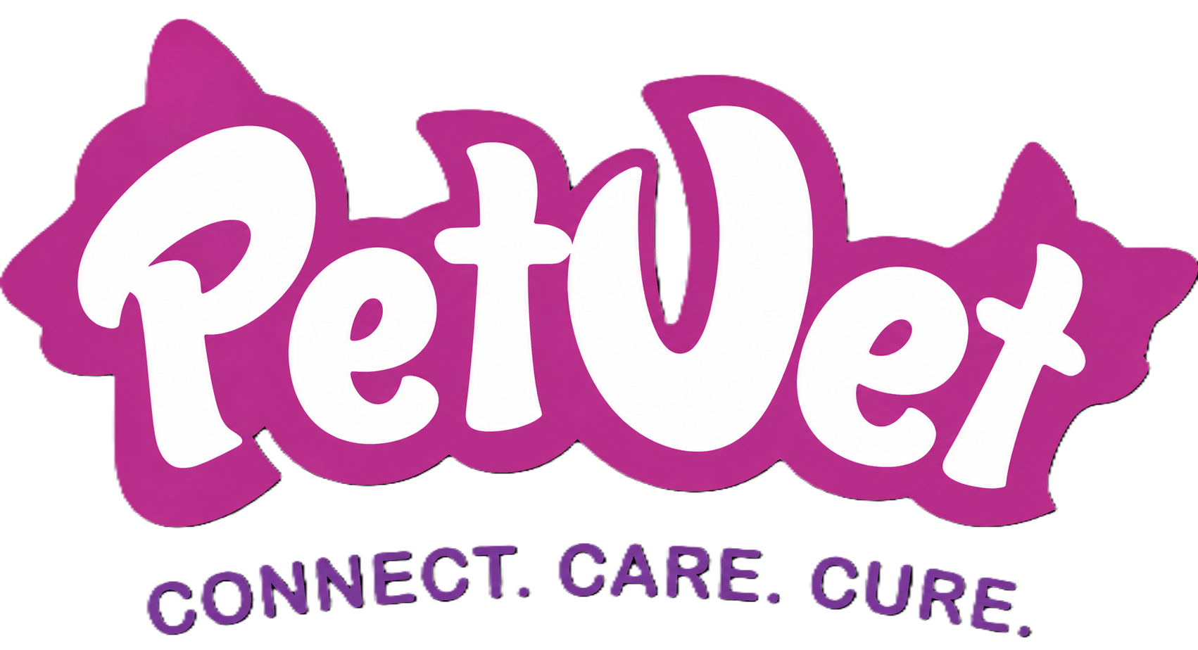 Industry Partner